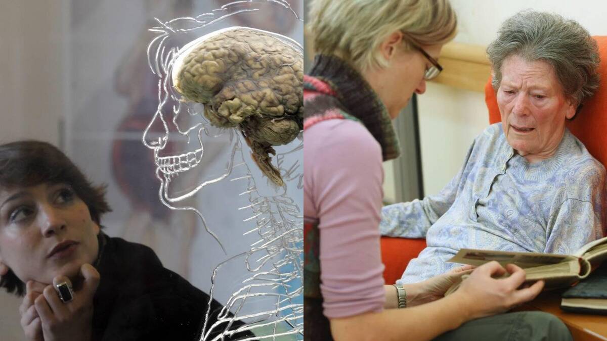 What Happens to Memory as We Age