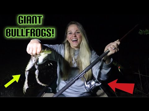 Giant bullfrogs caught during intense catch and cook session