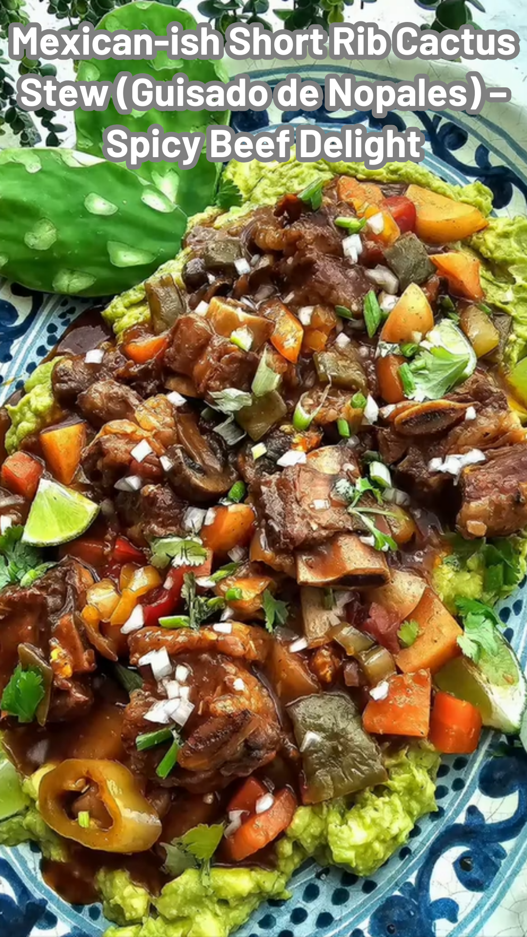 Mexican-ish Short Rib Cactus Stew (Guisado de Nopales) – Spicy Beef Delight