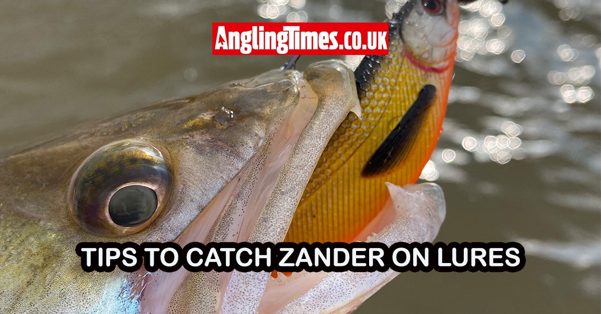 How to fish for zander using lures