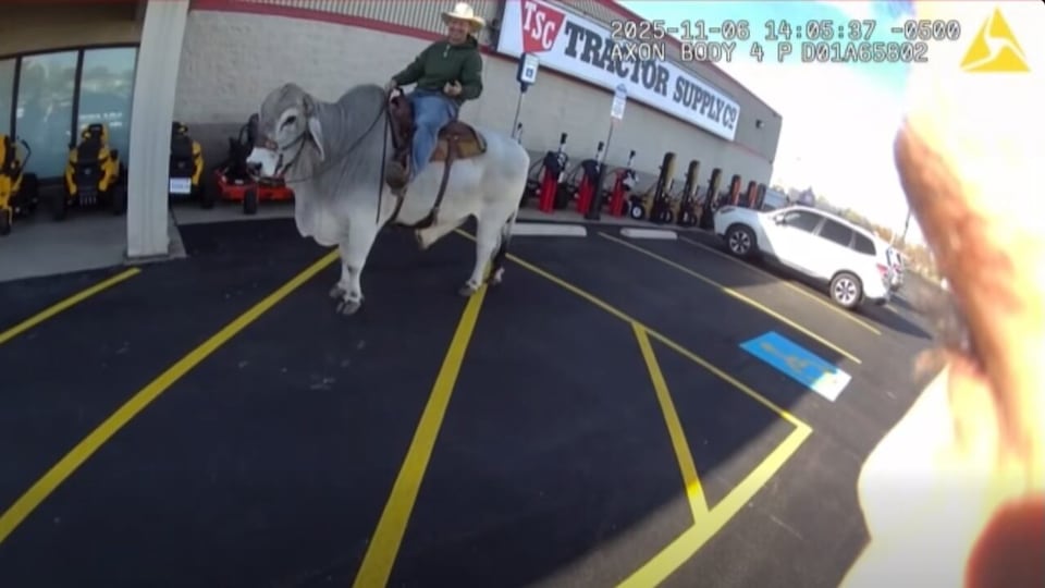 Police respond to ‘suspicious’ bull rider