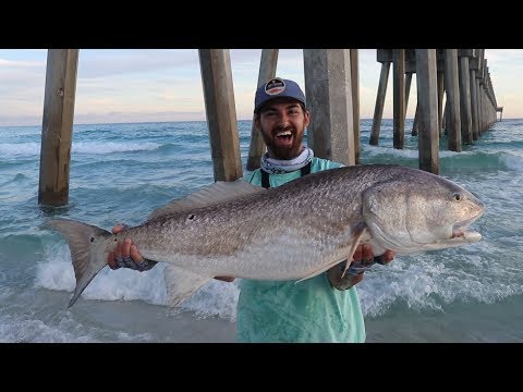 Angler Lands the Most Impossible Massive Fish of Life