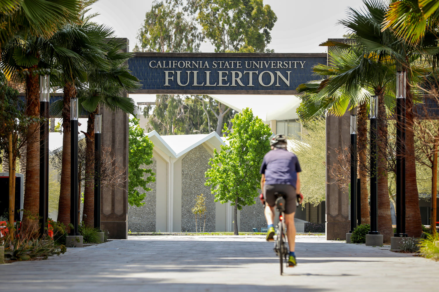 Cal State Fullerton soccer player dies 6 weeks after she was hit by