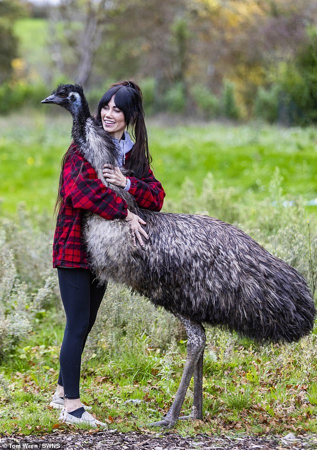 Woman buys emu egg online during late-night shopping spree... now she ...