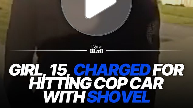 Florida teen charged after striking police car with shovel