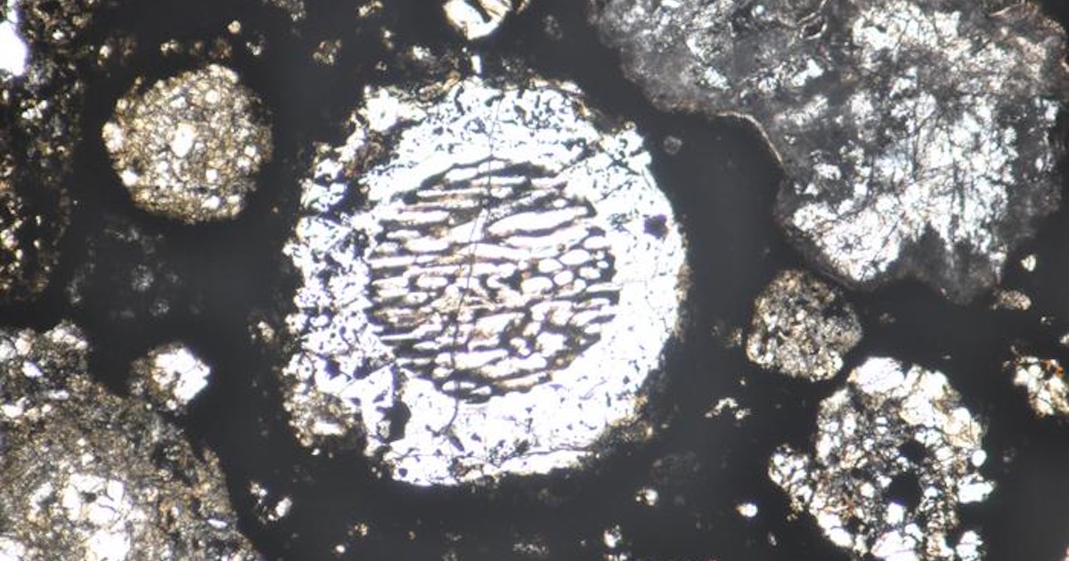 New Study Uses Tiny Balls In Meteorites To Explain Exactly How Gas ...