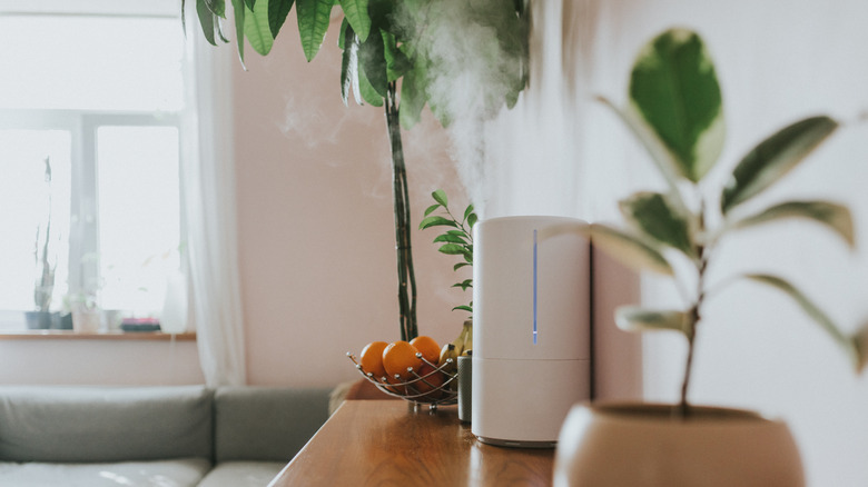 How To Use A Humidifier To Help Keep Your Home Warm During Winter