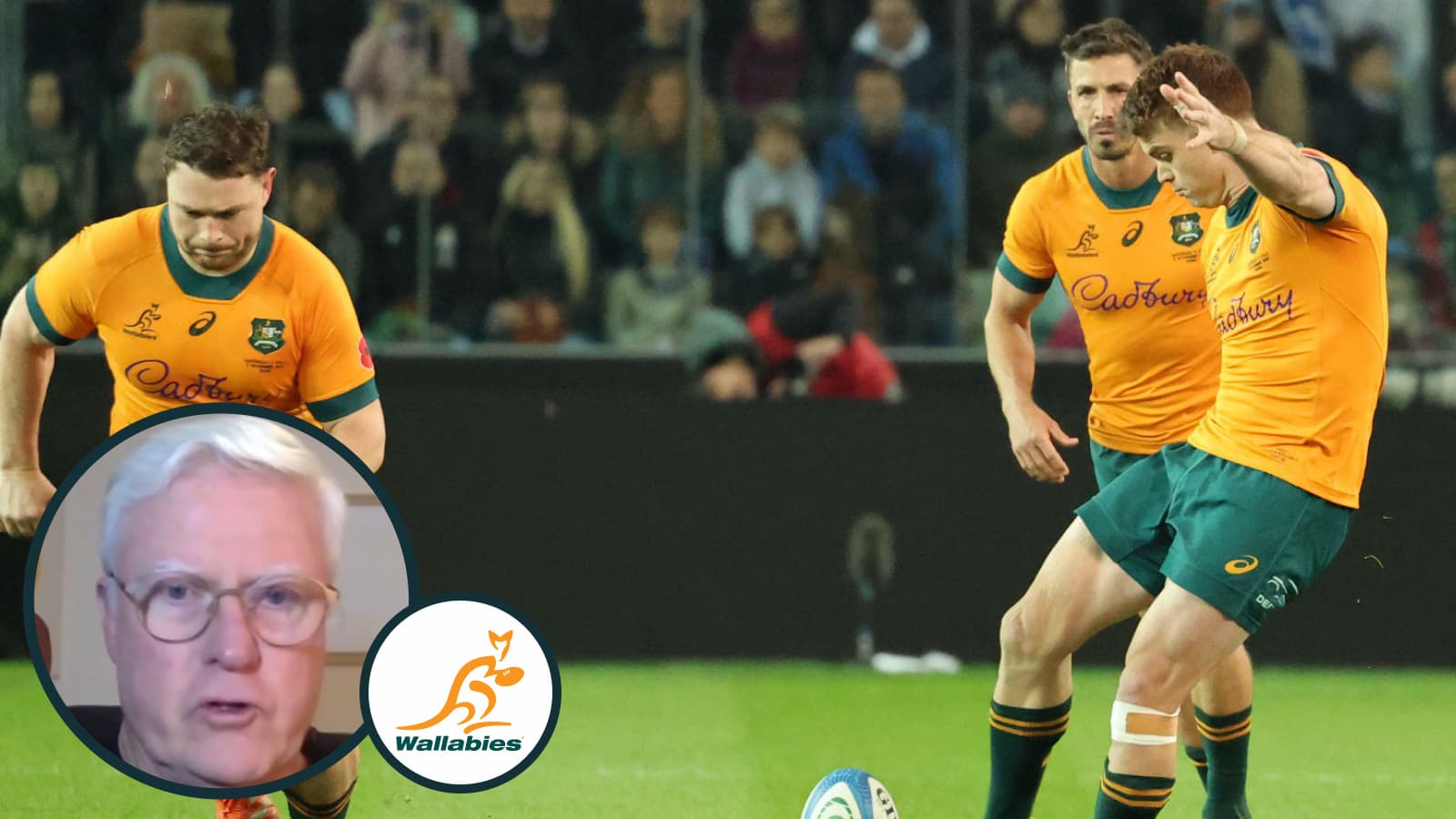 Matt Williams: Wallabies have ‘fallen off a cliff’ as ‘monster’ Rugby ...