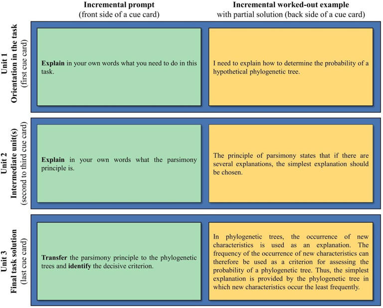 Optional learning support fosters self-directed learning