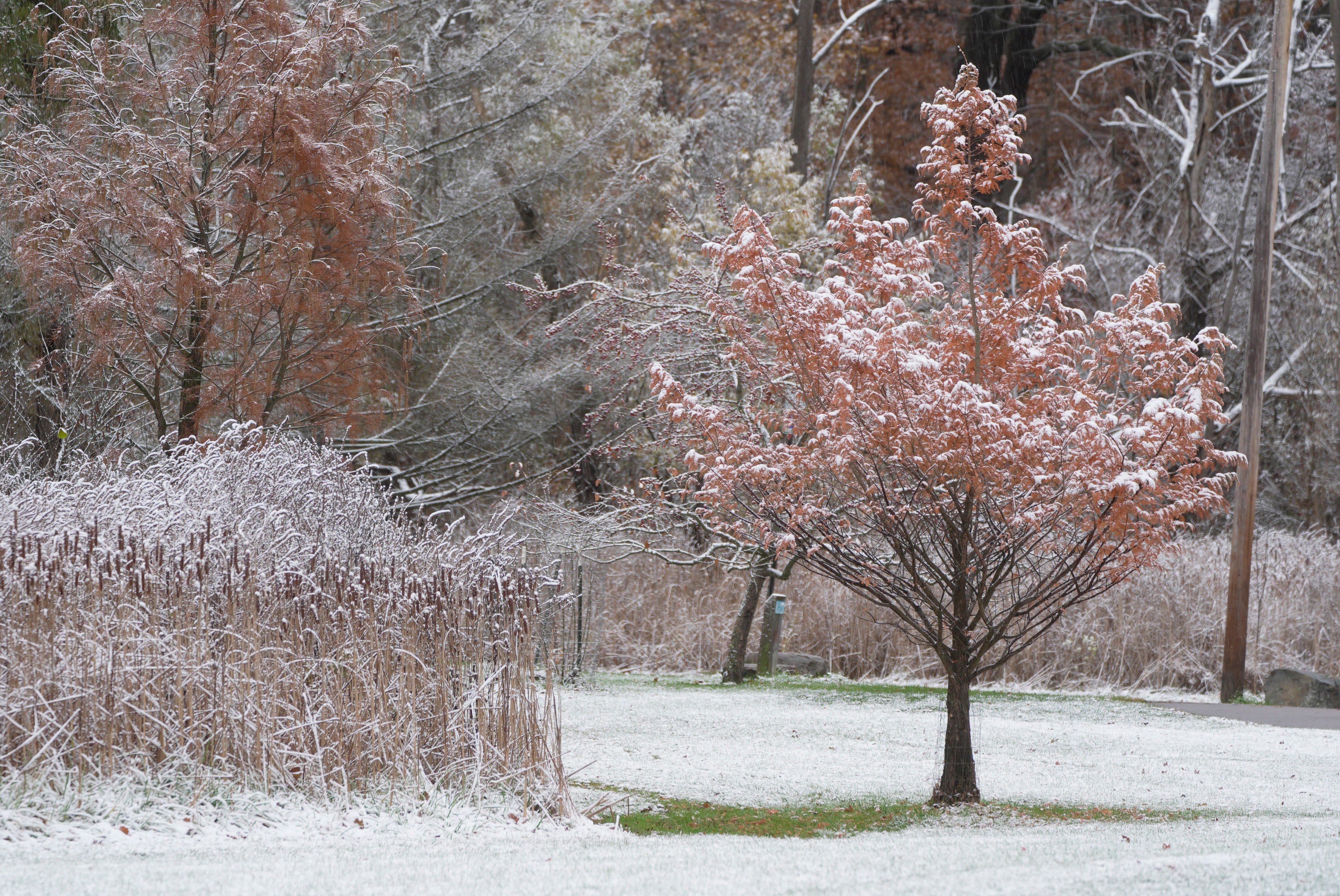 New York's last snowfall and freeze dates might surprise you