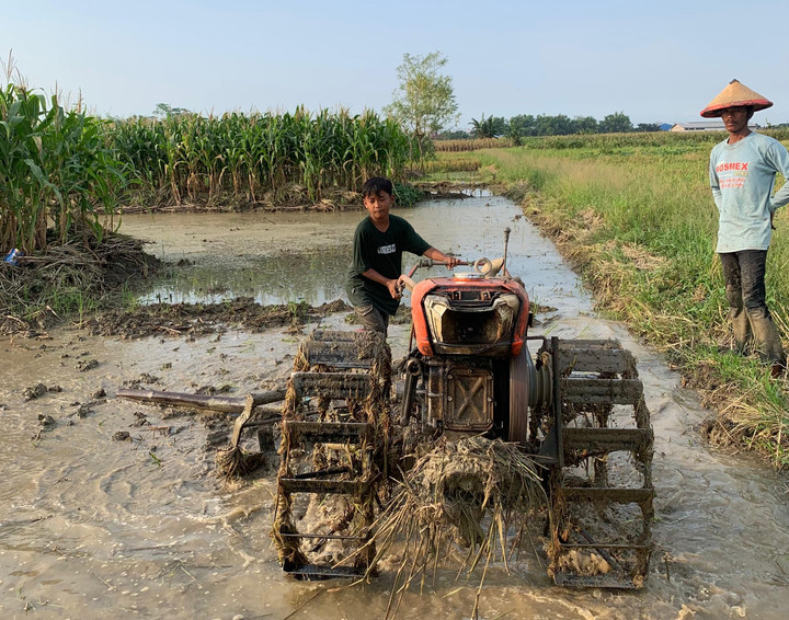 Pulang Sekolah Langsung ke Sawah