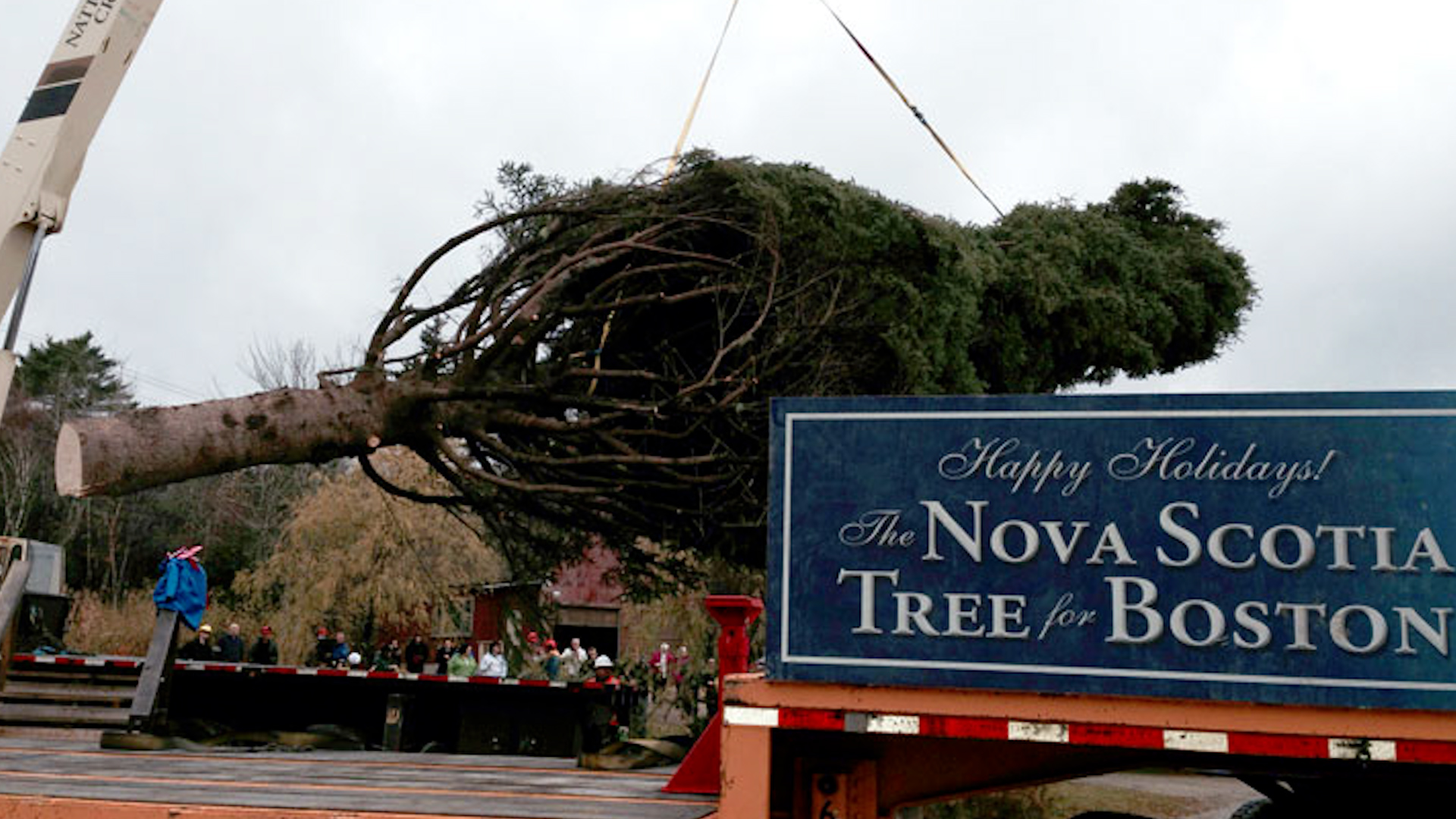 Boston Mayor Michelle Wu visits Nova Scotia to receive annual Tree for ...