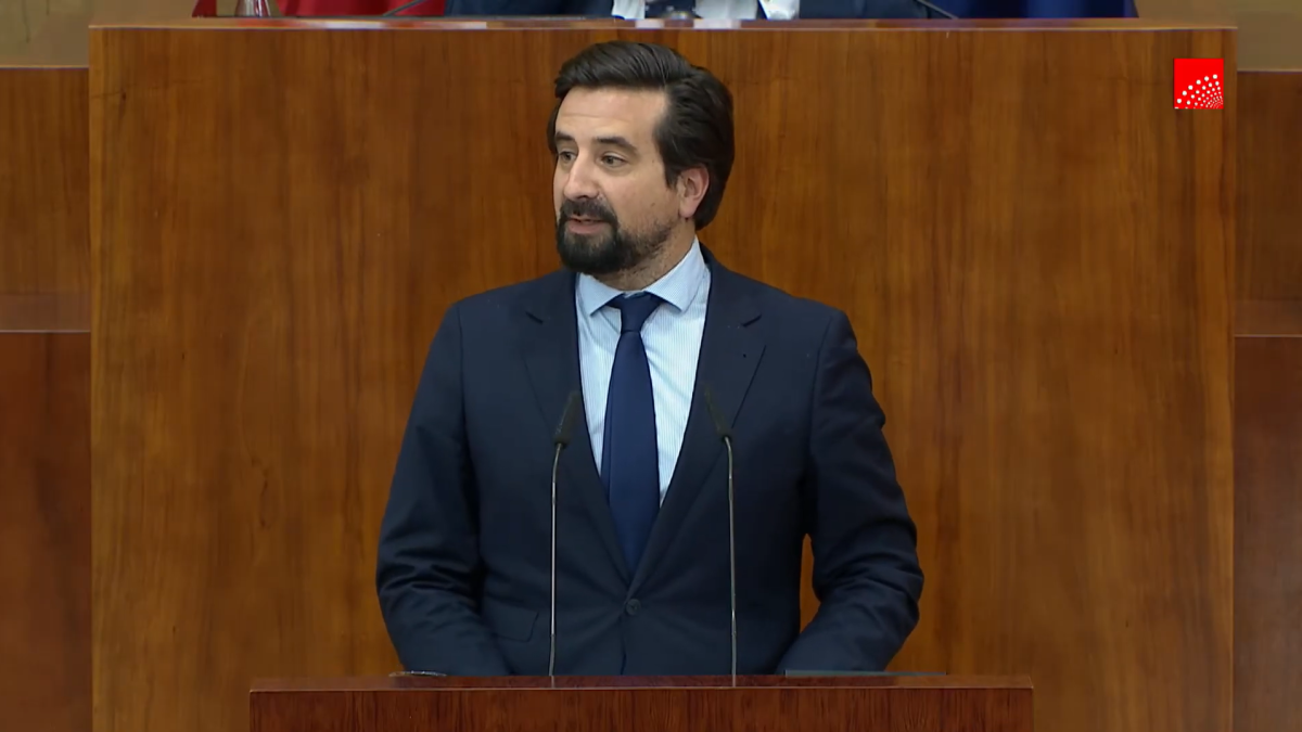 El alegato de un diputado del PP de Madrid en defensa de la familia ...