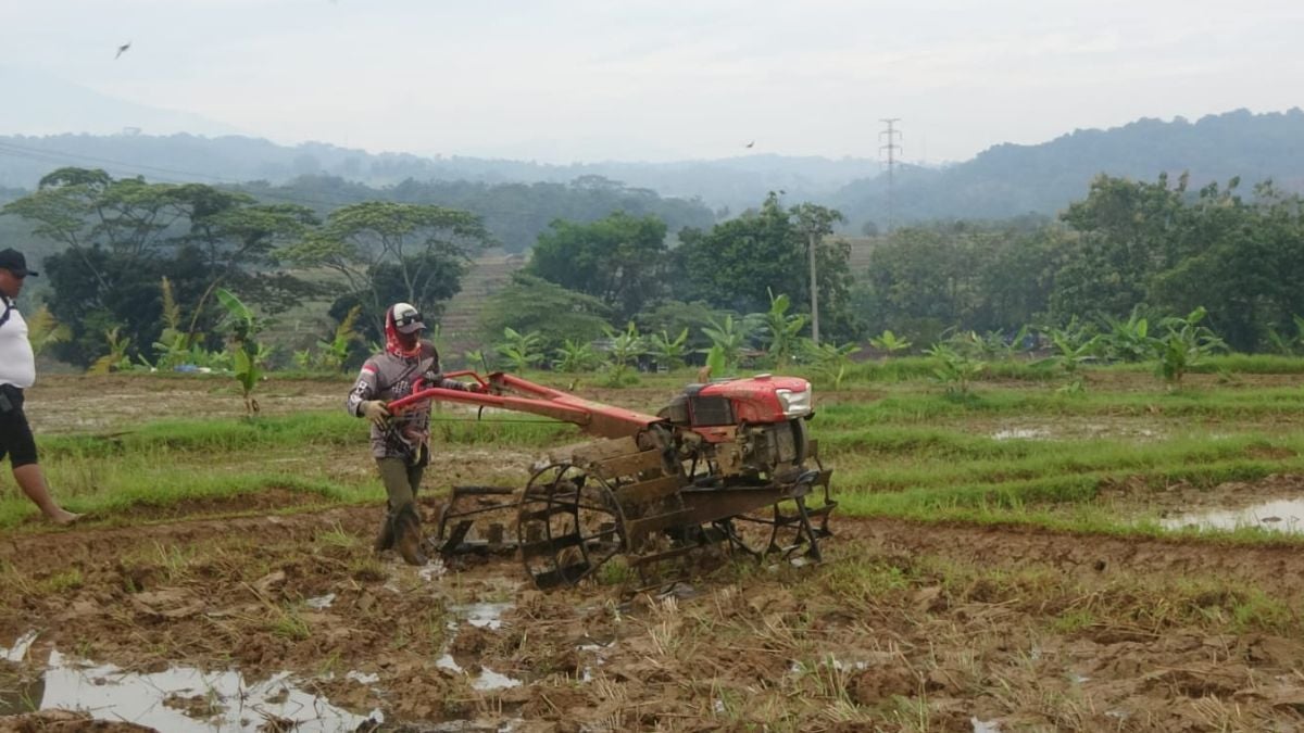 BBM Nabati Bobibos Dukungan Dedi Mulyadi, Harga Lebih Murah dan Nol Emisi