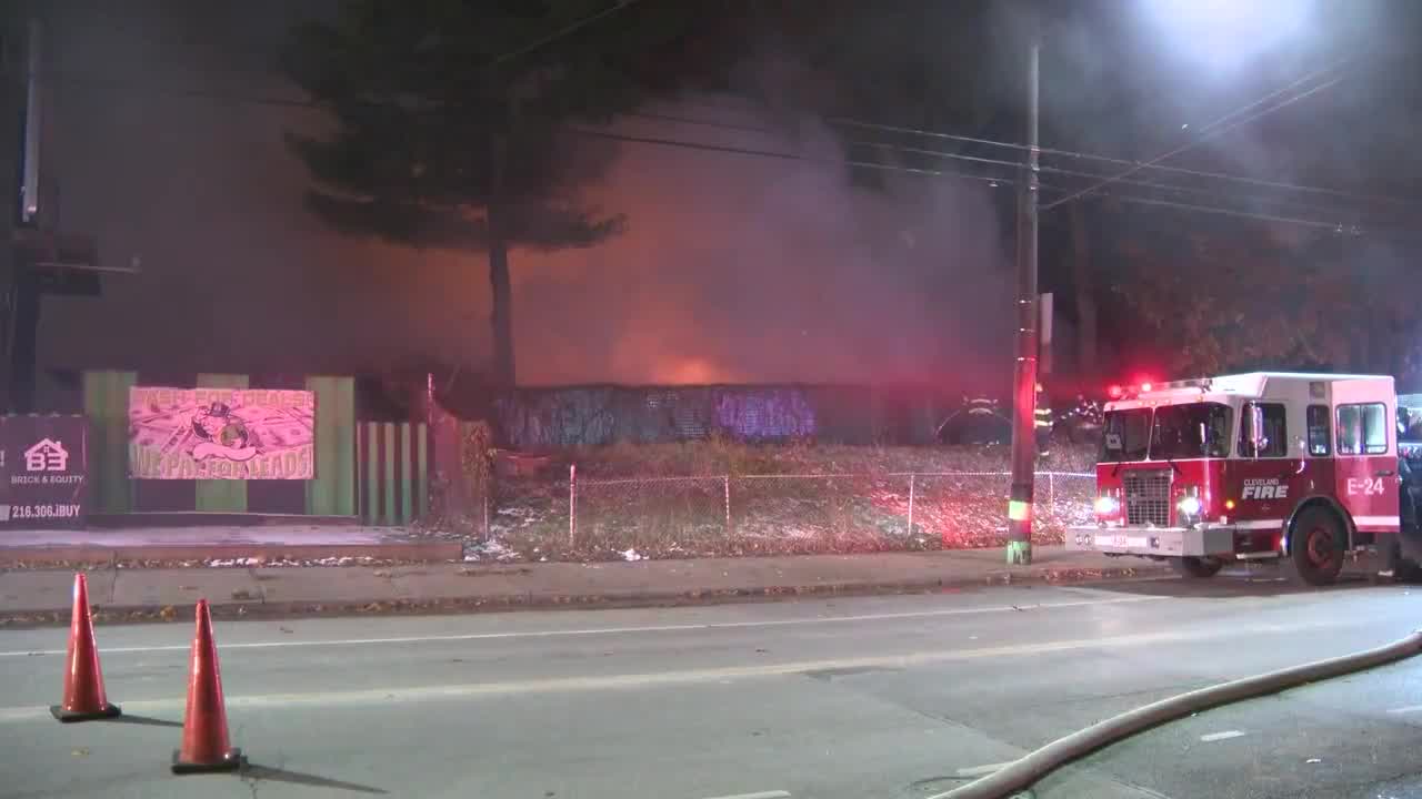 Man dies trying to save dogs from burning home