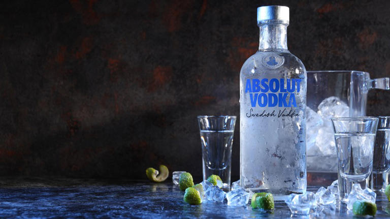 6 Vodka Brands Bartenders Always Avoid Buying