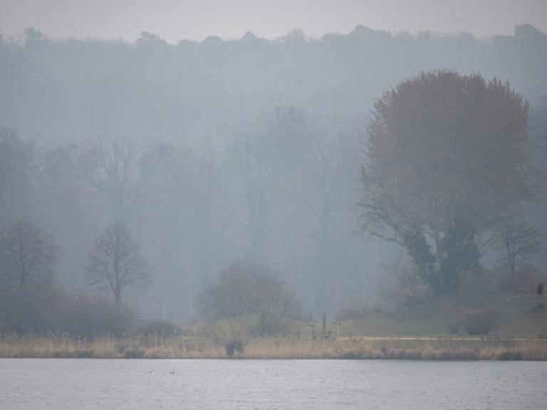 Wetterwarnung Dillingen a.d.Donau bis morgen: Nebel in der Region möglich