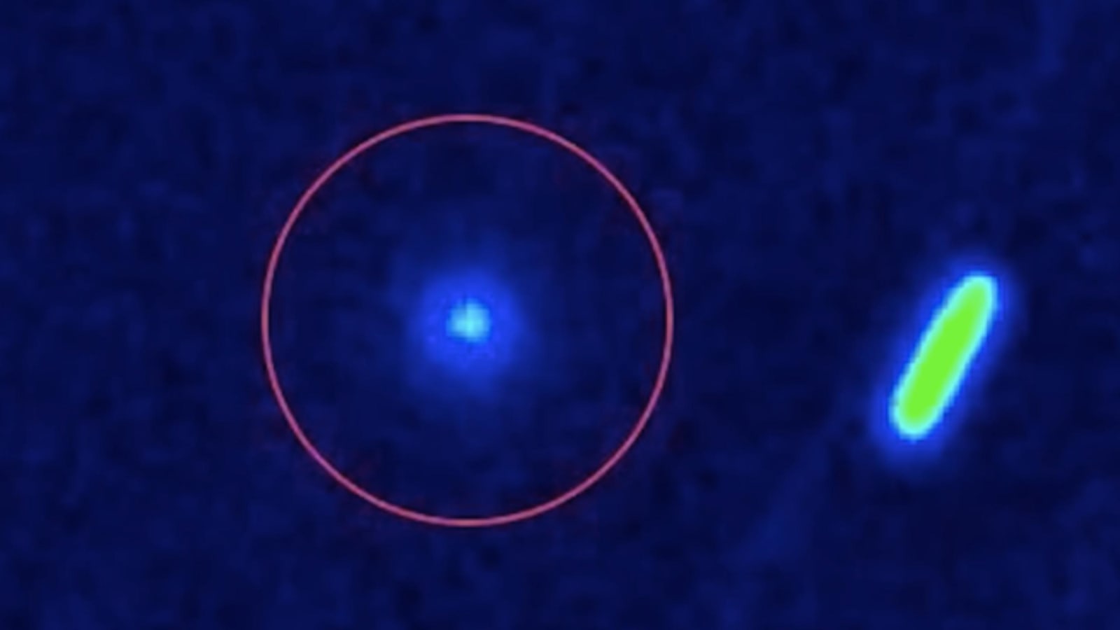 Harvard's Avi Loeb Claims 'Coming Weeks Will Be Decisive' for 3I/ATLAS Mystery