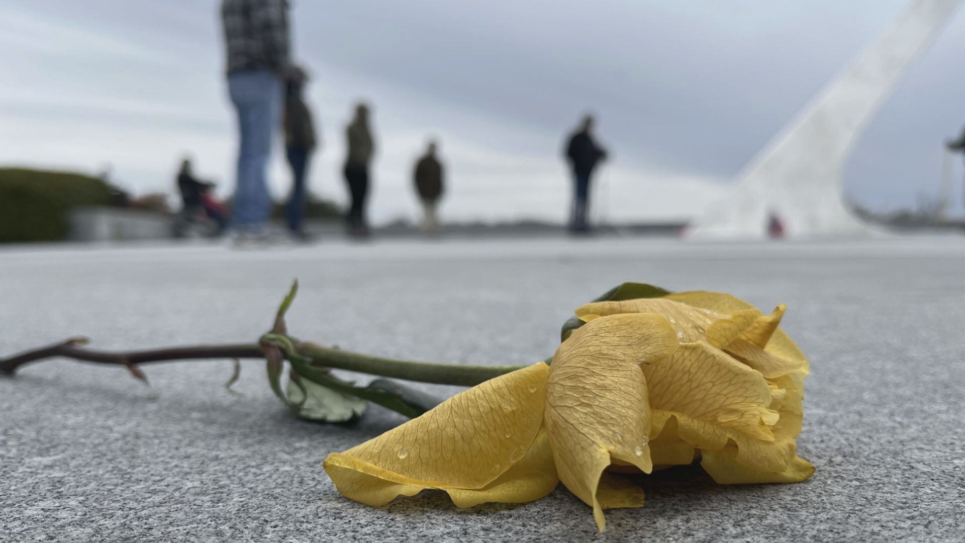 New name added to Ky. Vietnam Veterans Memorial on Veterans Day