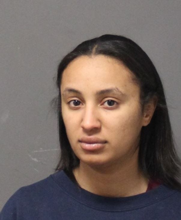 Windham woman faces animal cruelty in starvation of dog