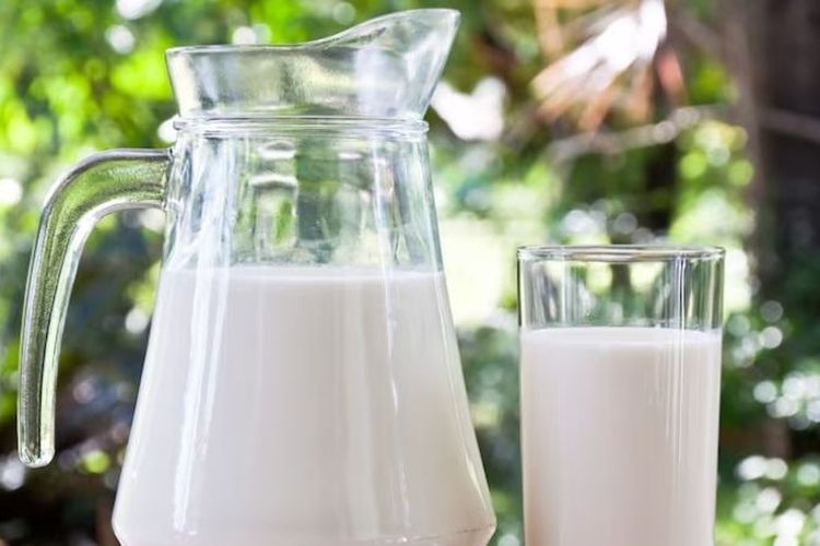 Tidak Hanya Mitos! 5 Minuman Ini Bantu Kurangi Stres dan Tenangkan Tubuh