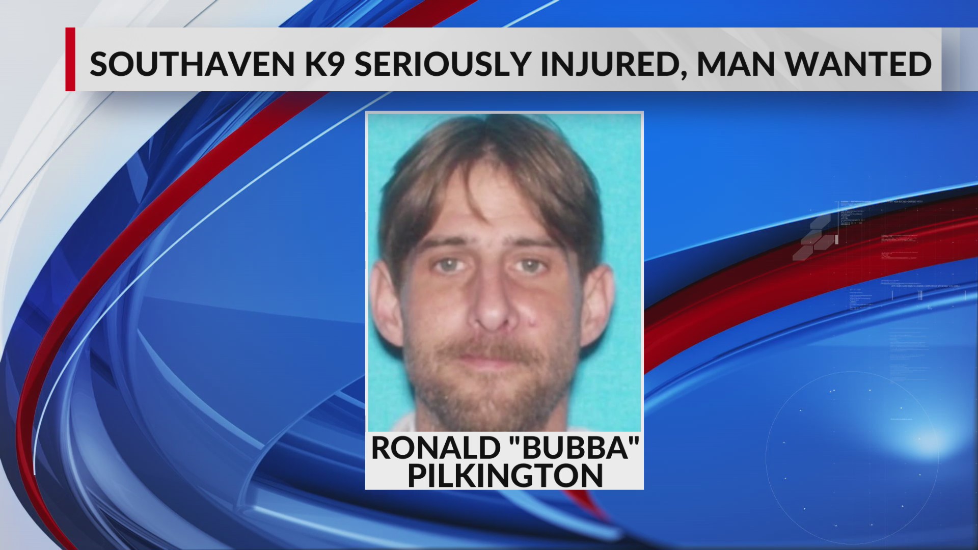 K-9 injured after wanted man flees traffic stop in Southaven