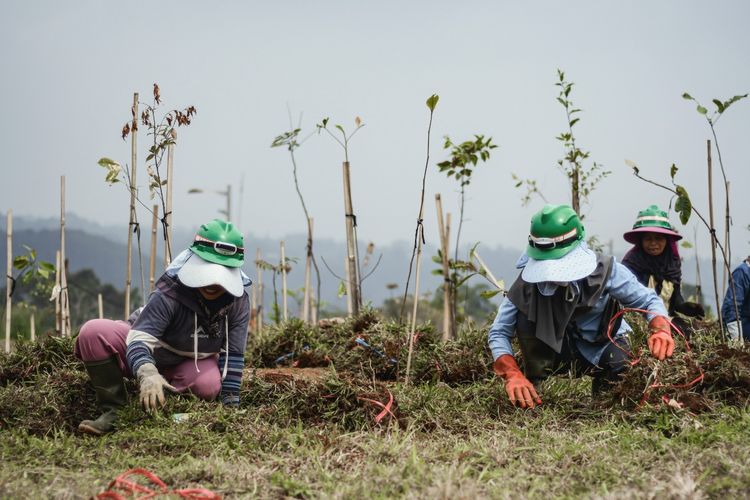411 Lubang PETI Ditemukan di TN Gunung Halimun Salak, Ekowisata Jadi Investasi Hijau Eiger Adventure