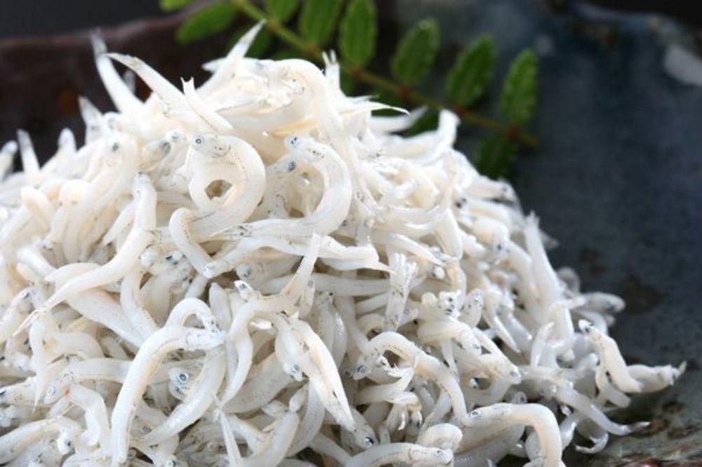 Resep Bubur Teri Nasi MPASI, Kaya Protein dan Besi