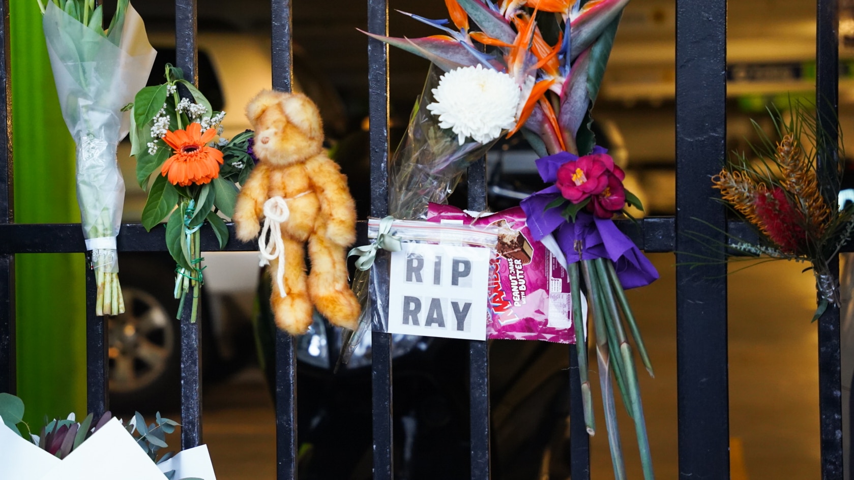 Man found not criminally responsible for murder of Ray McCormack in ...