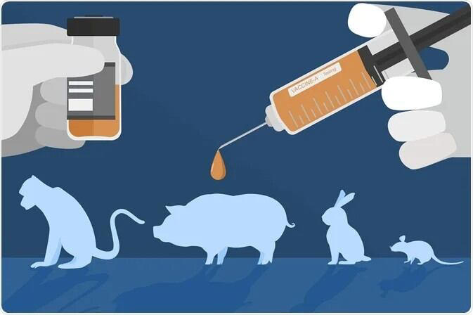 UK Government to Phase Out Animal Testing With AI, 3D Bioprinting