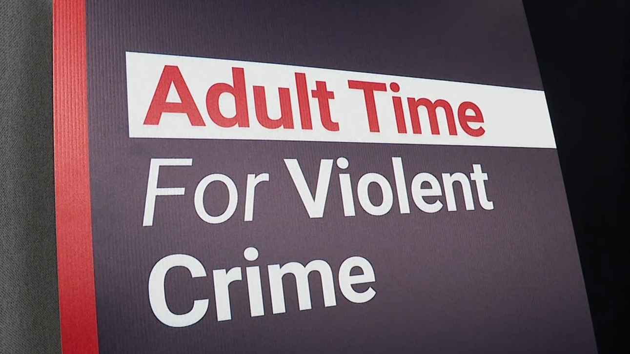 The seven crimes that could land a child behind bars for decades