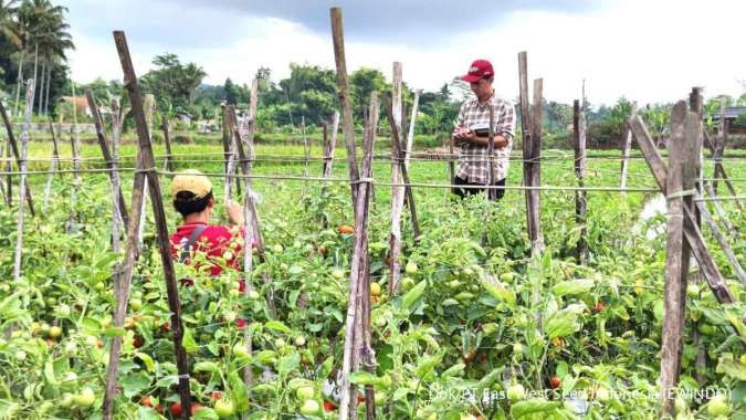 IBA 2025 Digelar Bulan Ini, Dongkrak Inovasi dan Regenerasi Pemulia Tanaman