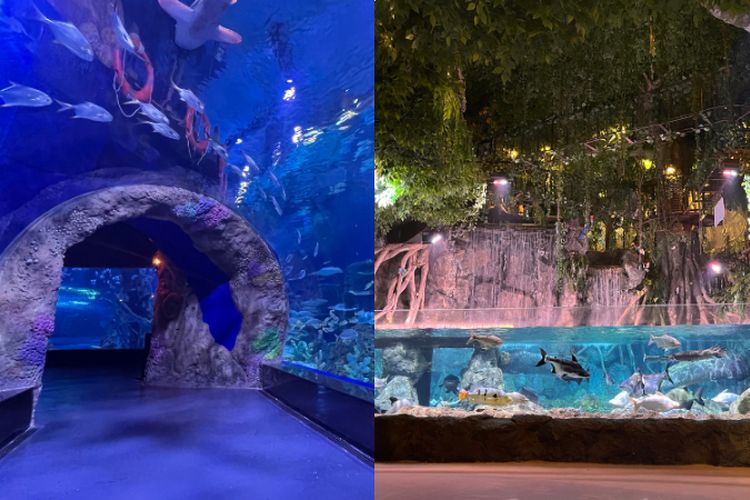 3 Tempat Wisata Seru di Tangerang untuk Liburan Akhir Tahun