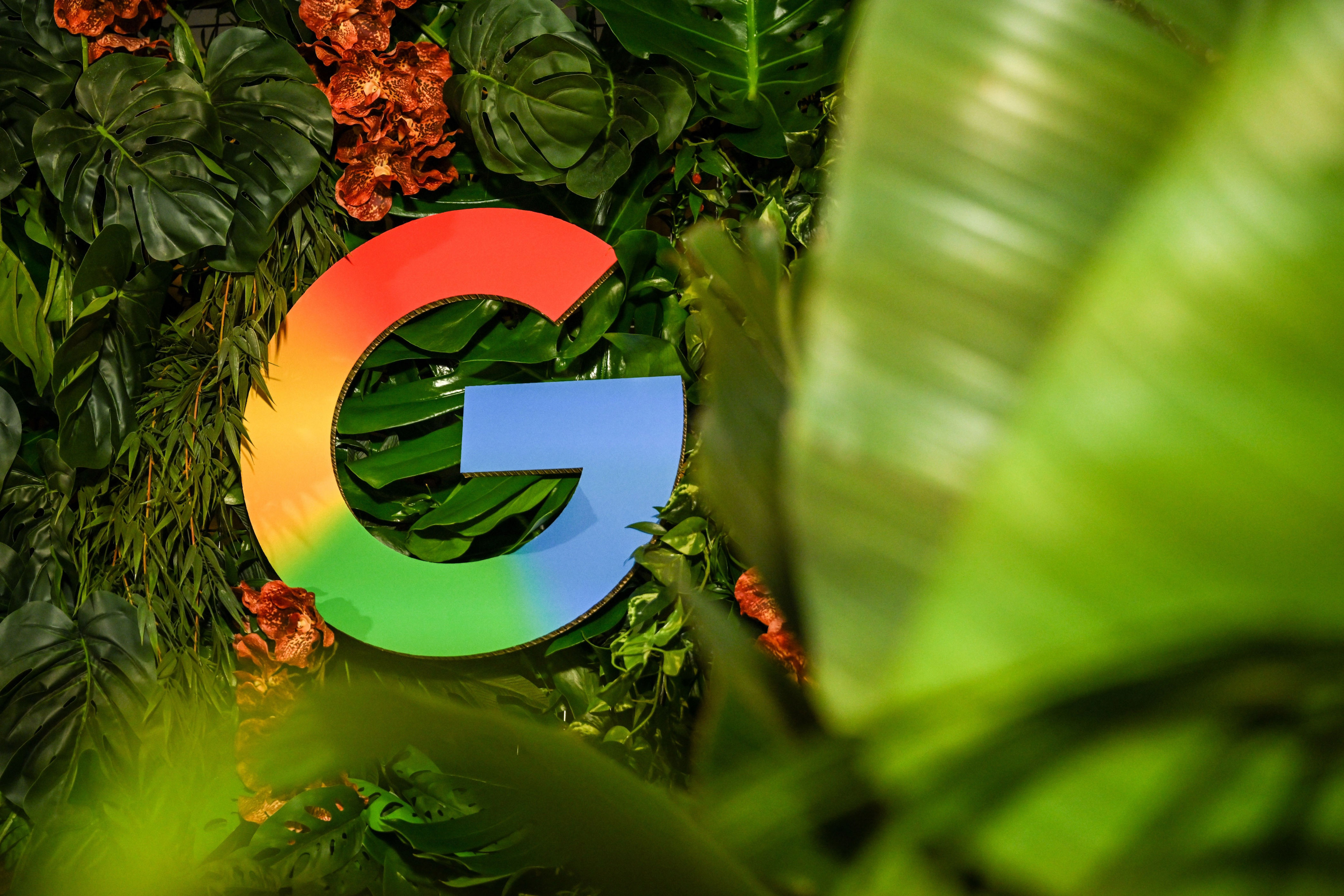Google warns about major online scam threats for November. See the list.