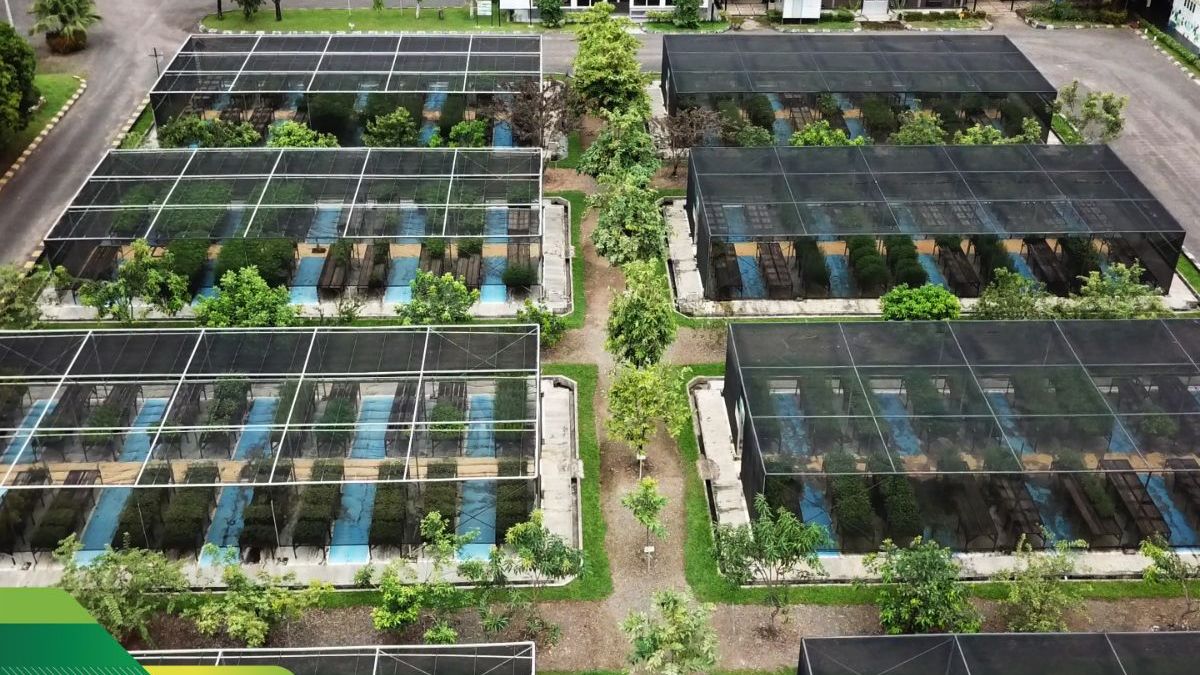 AADI Ditinggal 3.364 Investor, Ritel 