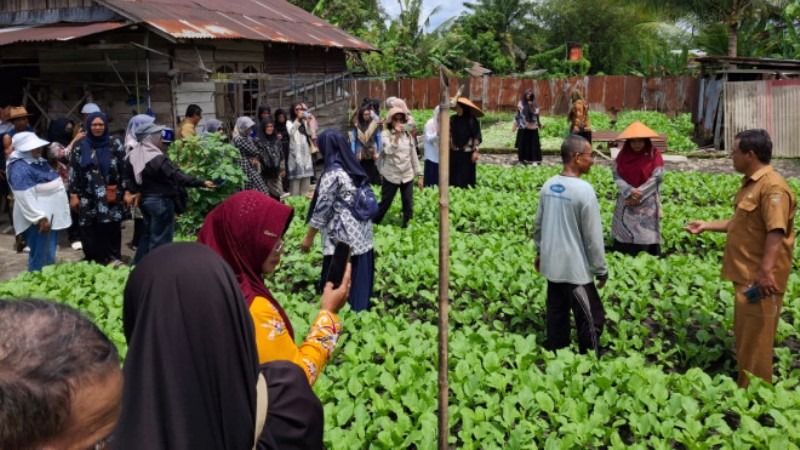 KWT Kobar Dorong Pekarangan Jadi Sumber Pangan Bergizi