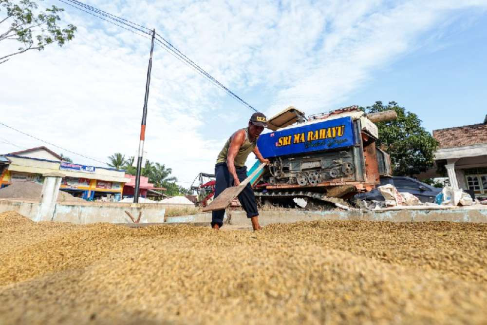 Pacu Produksi Padi, Pertanian Organik MTOT Diperluas