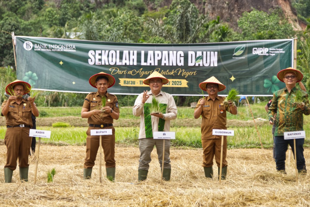 BI Sumbar Tingkatkan Produktivitas Padi Melalui Sekolah Lapang