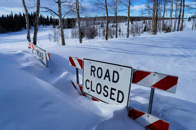 Met Office snow update issued as North East temperatures set to 'plunge'