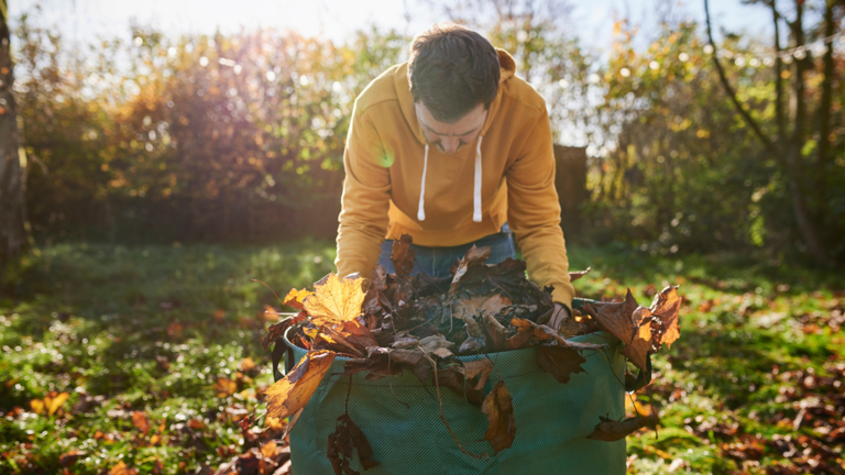 Stop Raking Leaves—Gardeners Swear by This Easy Fall Hack Instead