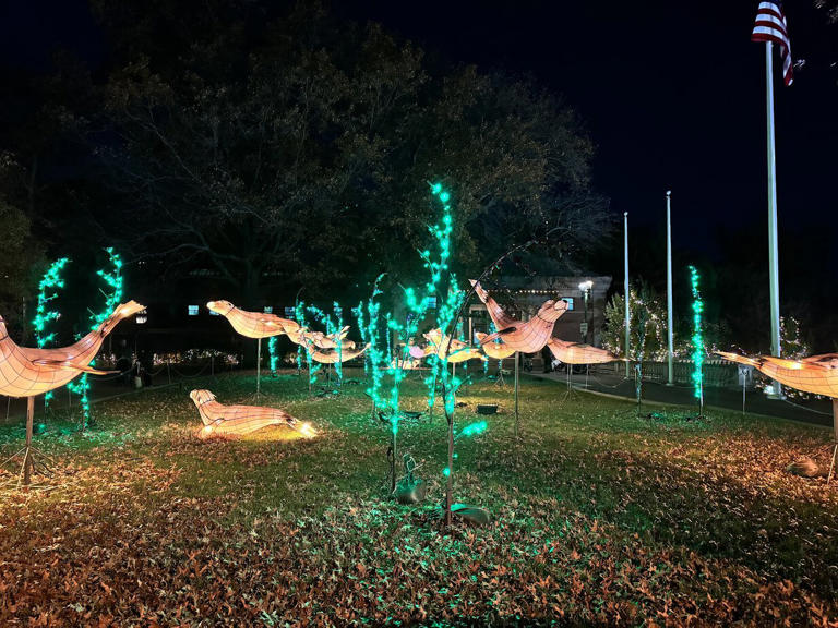 NYC Holiday Lights to Check Out