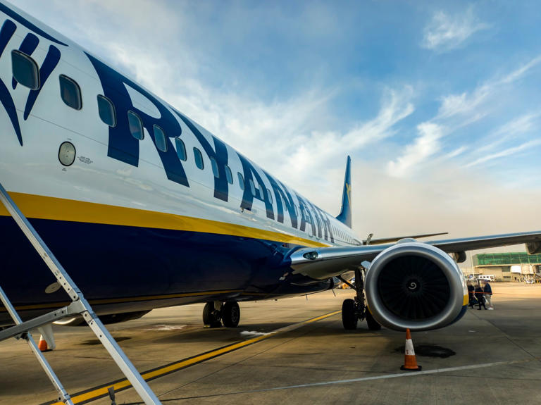 Ryanair's new rules spark calls for boycott and debate