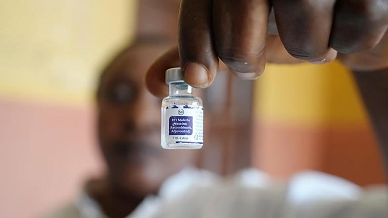 UK pledges £850 million to fight malaria, tuberculosis, and AIDS, down ...