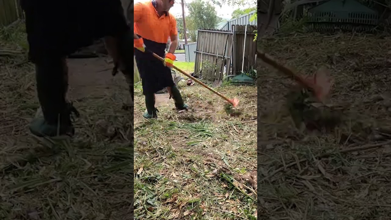 Canopy Cleanup!