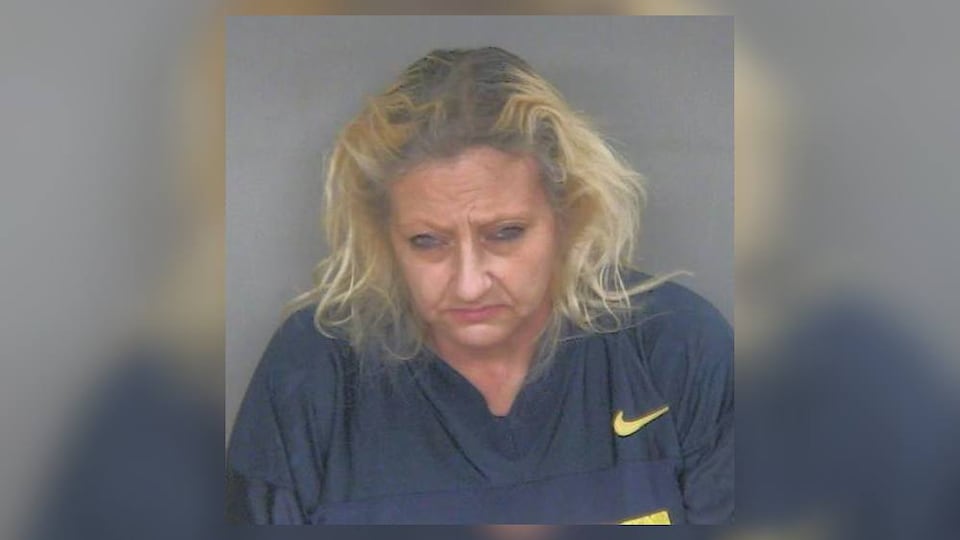 Local woman arrested after authorities find suspected cocaine during ...