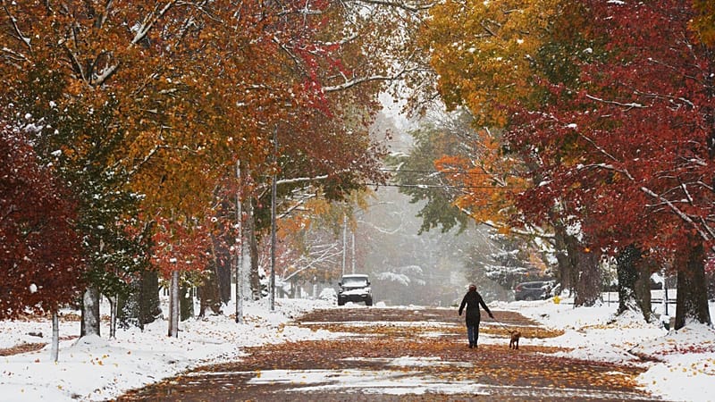 First snow of the season: Record cold hits southeastern US as 18 ...