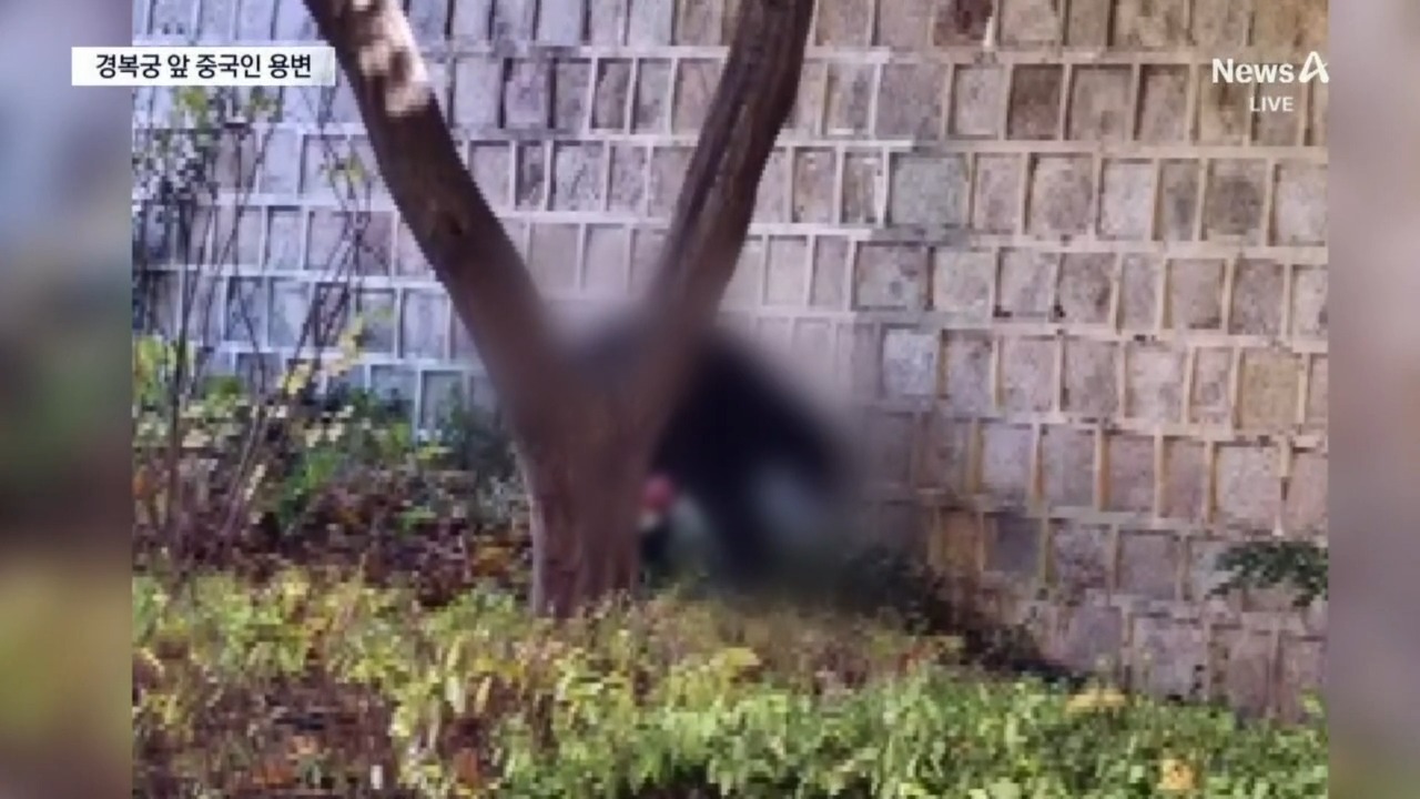 경복궁 돌담서 용변 본 中 관광객 | Watch