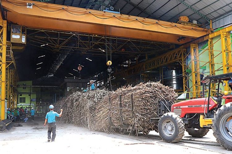 Rektor IPB Ingatkan Pemerintah Hindari Kesalahan Serupa di Industri Sawit