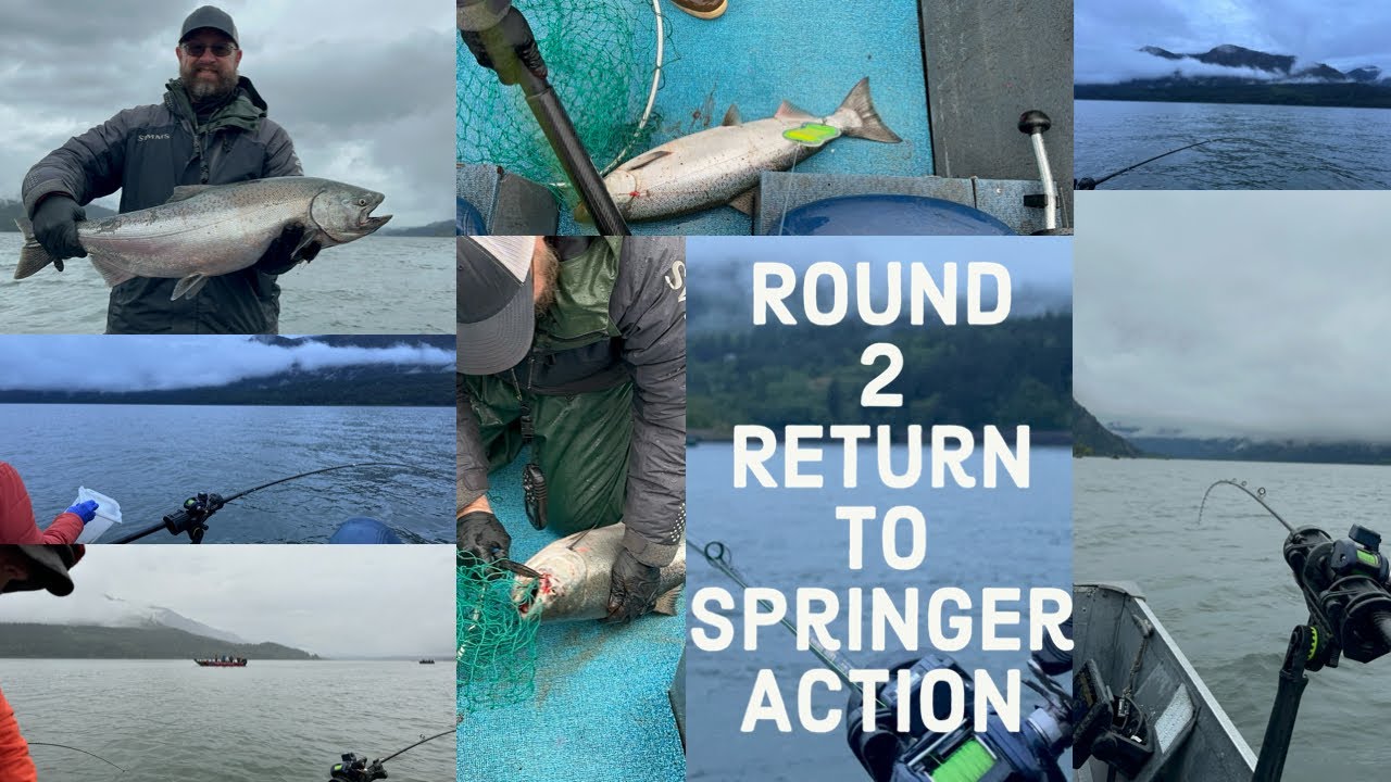 Columbia River Springer Salmon – Action-Packed Wind River Fishing