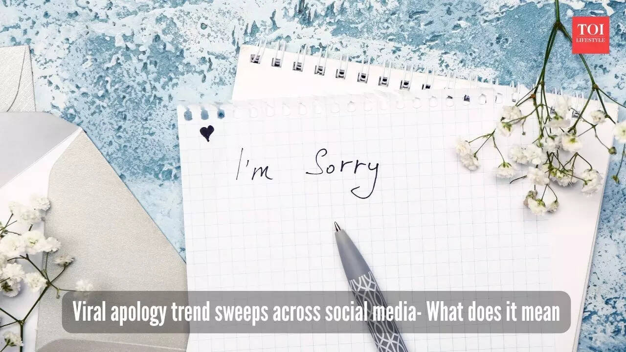 SorryNotSorry How fake apologies have became a popular marketing